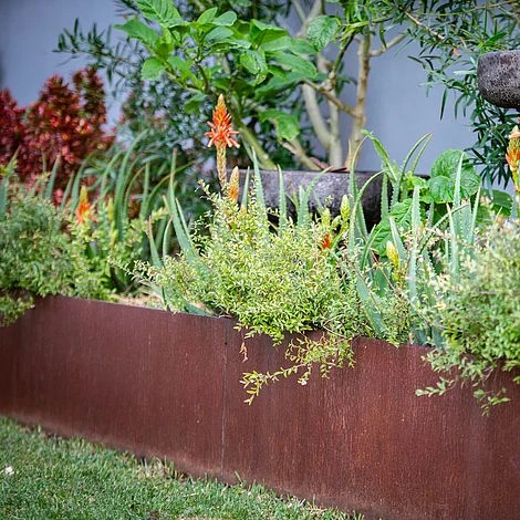 Straightcurve Rigid - Raised Garden Bed 400mm Bundle Of 6 Weathering Steel 4 Straightcurve Rigid - Raised Garden Bed 400mm Bundle Of 6 Weathering Steel - Image 2