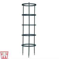 Tomato Growing Support -Plants Sales Store TOMA TKA6818P A