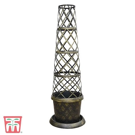 Black & Gold Tower Pot™ 4 Black & Gold Tower Pot™ - Image 2