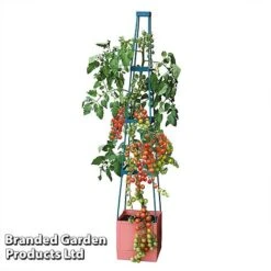 Garden Grow Self Watering Tomato Tower 14 Garden Grow Self Watering Tomato Tower -Plants Sales Store TOWE TOMSELFWA T045925