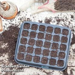 30 Cell Natural Rubber Seed Tray 8 30 Cell Natural Rubber Seed Tray -Plants Sales Store TRAY 30SEEDNAT S41385