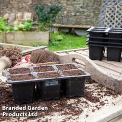 6 Cell XL Natural Rubber Seed Tray 8 6 Cell XL Natural Rubber Seed Tray -Plants Sales Store TRAY 6SEEDNATU S41362