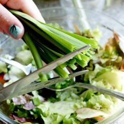 Allium 'Quattro' 9 Allium 'Quattro' -Plants Sales Store VEALL35203