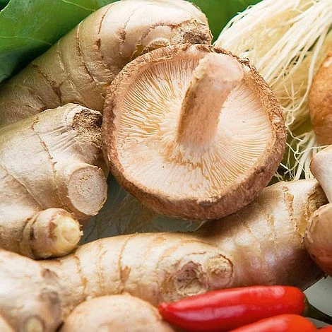 Mushroom Windowsill Kit - Shiitake 3 Mushroom Windowsill Kit - Shiitake