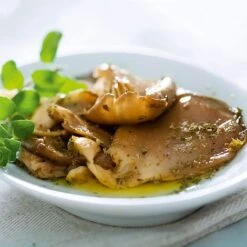 Mushroom Windowsill Kit - Oyster 7 Mushroom Windowsill Kit - Oyster -Plants Sales Store VEMUS22773