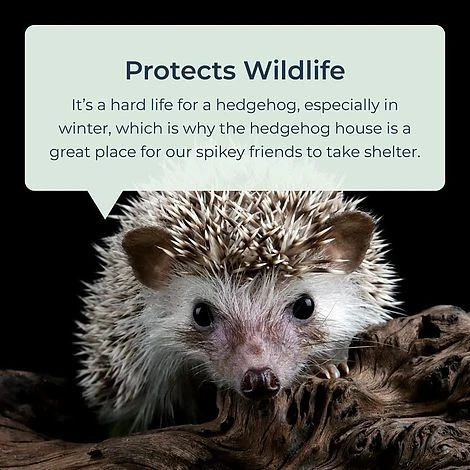 Idooka Waterproof Hedgehog House Garden Shelter Hedgehog Hotel 4 Idooka Waterproof Hedgehog House Garden Shelter Hedgehog Hotel - Image 2