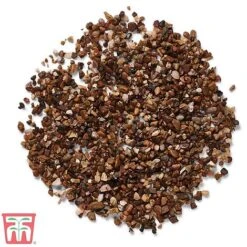 Decorative Alpine Grit Aggregate -Plants Sales Store alpi gri c