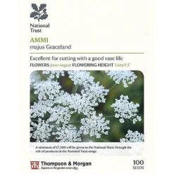 Seed Collection Tin + 10 Packets Of National Trust Seeds -Plants Sales Store ammi majus P1
