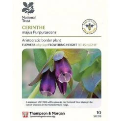 Seed Collection Tin + 10 Packets Of National Trust Seeds -Plants Sales Store cerinthe majus P2