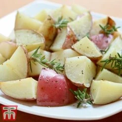 Potato 'T&M Favourites Collection' 20 Potato 'T&M Favourites Collection' -Plants Sales Store desir1