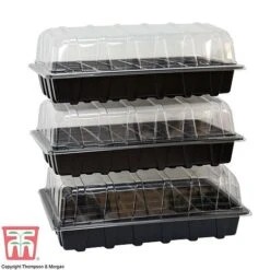 Garden Grow Plug And Seed Growing Tray 8 Garden Grow Plug And Seed Growing Tray -Plants Sales Store domed