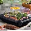 Garden Gear Heated Propagator 2 Garden Gear Heated Propagator -Plants Sales Store heat prop1