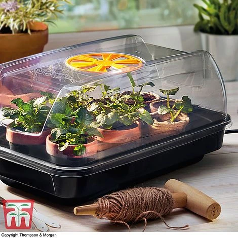 Garden Gear Heated Propagator 7 Garden Gear Heated Propagator - Image 5