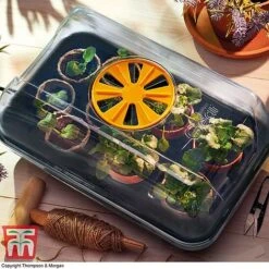 Garden Gear Heated Propagator 10 Garden Gear Heated Propagator -Plants Sales Store heat prop3