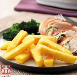 Potato 'T&M All Year Round Collection' 20 Potato 'T&M All Year Round Collection' -Plants Sales Store mcprem2