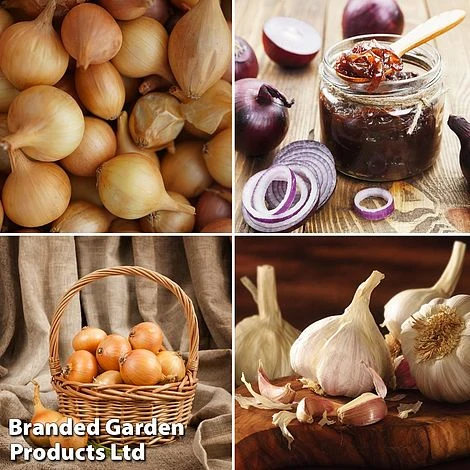 Grow Your Own Onion & Garlic Collection 3 Grow Your Own Onion & Garlic Collection