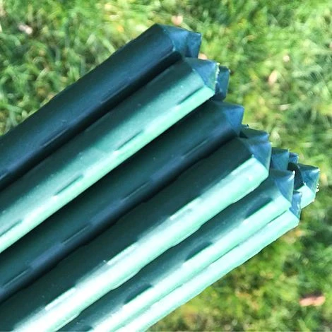 Plant Stake & Tomato Support Garden Canes - 1.2m / 47" Long 6 Plant Stake & Tomato Support Garden Canes - 1.2m / 47" Long - Image 4