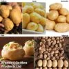 Potato Blight Tolerant Collection 2 Potato Blight Tolerant Collection -Plants Sales Store potato blight1