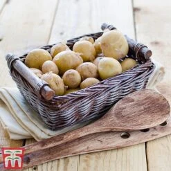 Potato 'T&M Favourites Collection' 25 Potato 'T&M Favourites Collection' -Plants Sales Store rocket5