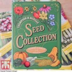Seed Collection Tin - Gift 9 Seed Collection Tin - Gift -Plants Sales Store seed tin 2