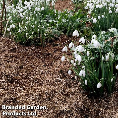Strulch Mineralised Straw Garden Mulch 4 Strulch Mineralised Straw Garden Mulch - Image 2