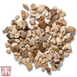 Decorative Yorkshire Cream Aggregate 7 Decorative Yorkshire Cream Aggregate -Plants Sales Store york cre c