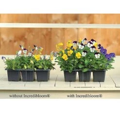 Incredibloom® And Incredicrop® Duo 8 Incredibloom® And Incredicrop® Duo -Plants Sales Store z INCR T47963 C h